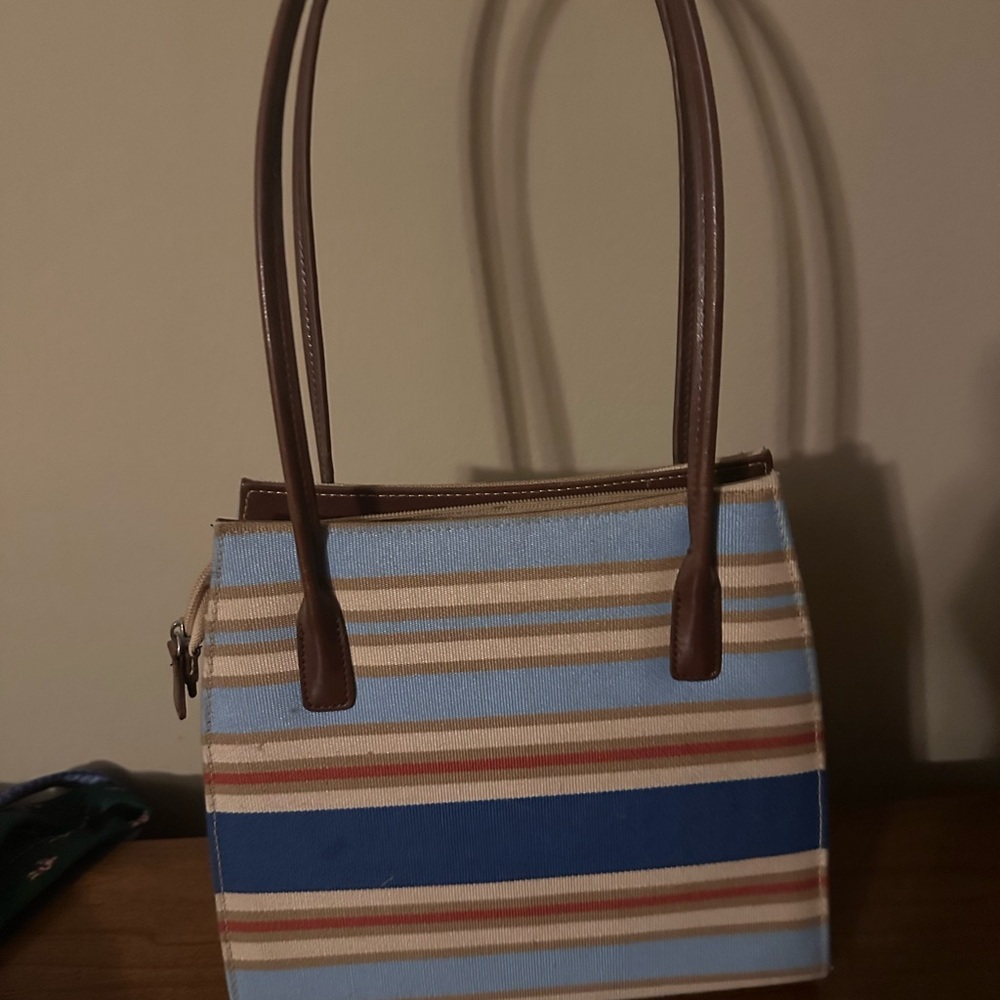 Striped Blue and Brown Women's Bag